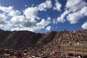 鄒平縣魏橋鎮(zhèn)地圖