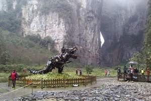鄒平縣碼頭鎮(zhèn)全圖